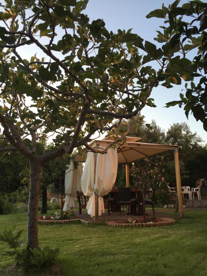 B&B Villa Magna Grecia Lazzaro Exterior foto